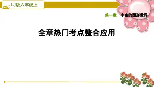 鲁教版五四《丰富的图形世界》考点整合应用