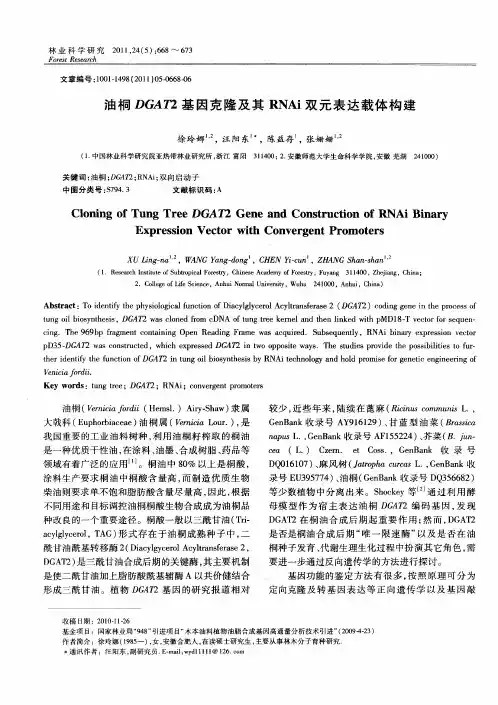 油桐DGAT2基因克隆及其RNAi双元表达载体构建