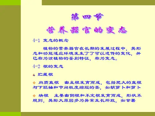 第3章—4营养器官变态及演化