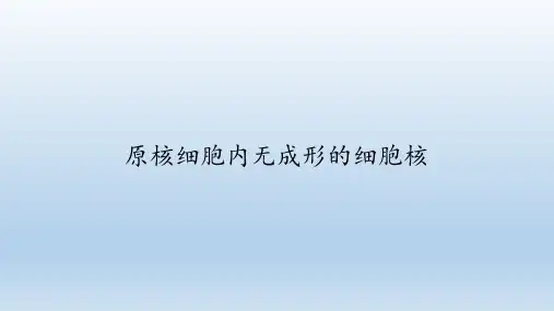 浙科版(2019)生物必修1：2.6 原核细胞内无成形的细胞核  课件(共16张PPT)