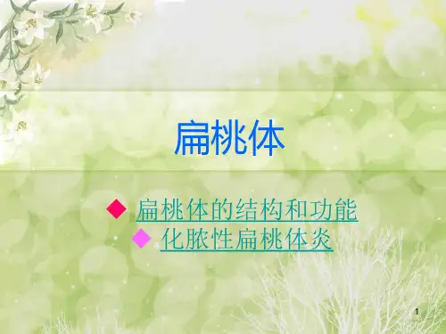 扁桃体医学PPT课件