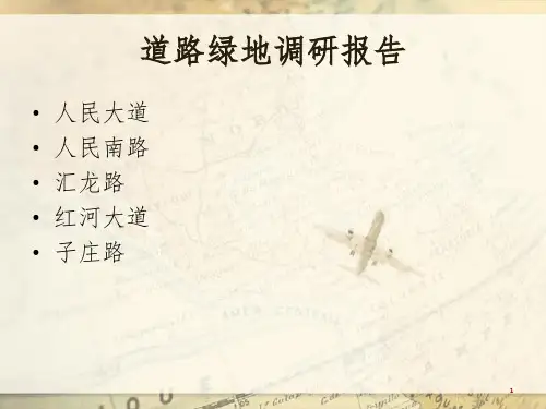 《道路绿地调研》PPT课件