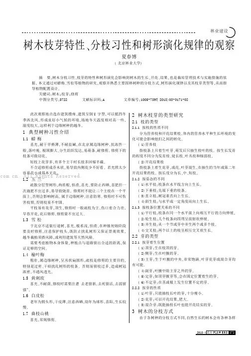 树木枝芽特性、分枝习性和树形演化规律的观察
