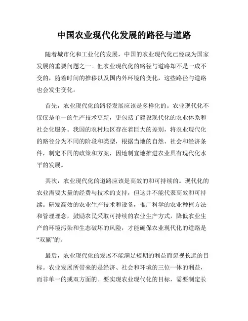 中国农业现代化发展的路径与道路