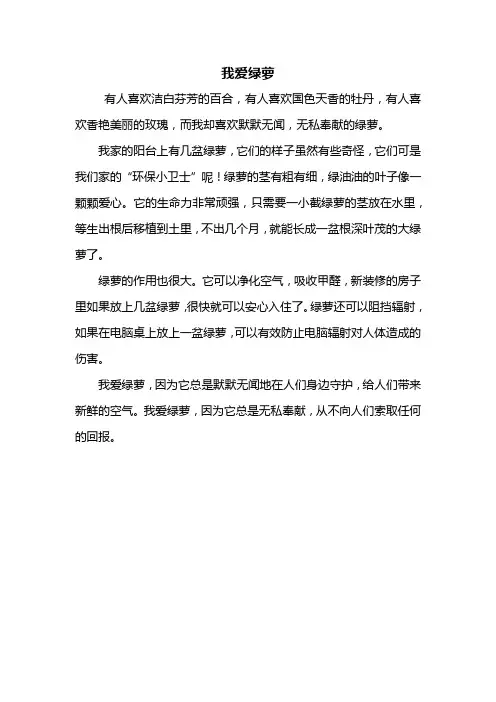 四年级作文：我爱绿萝作文300字