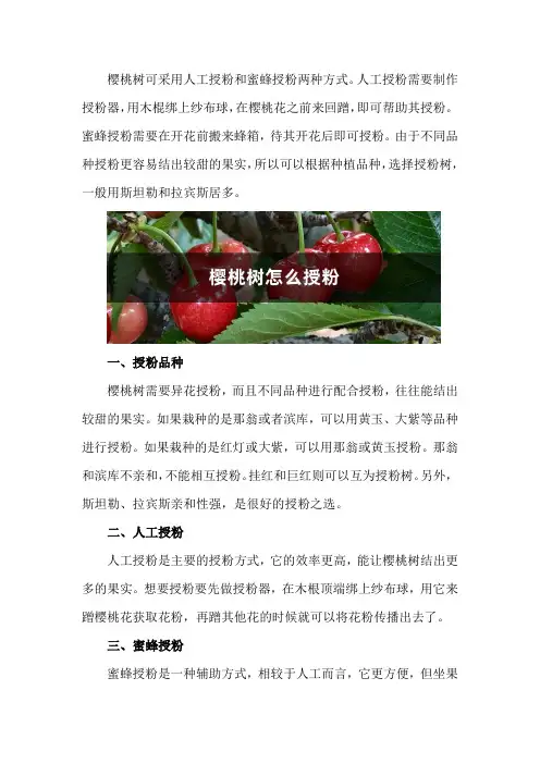 樱桃树怎么授粉