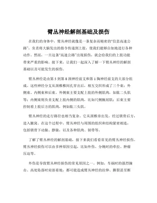 臂丛神经解剖基础及损伤