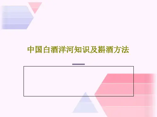 中国白酒洋河知识及斟酒方法55页PPT