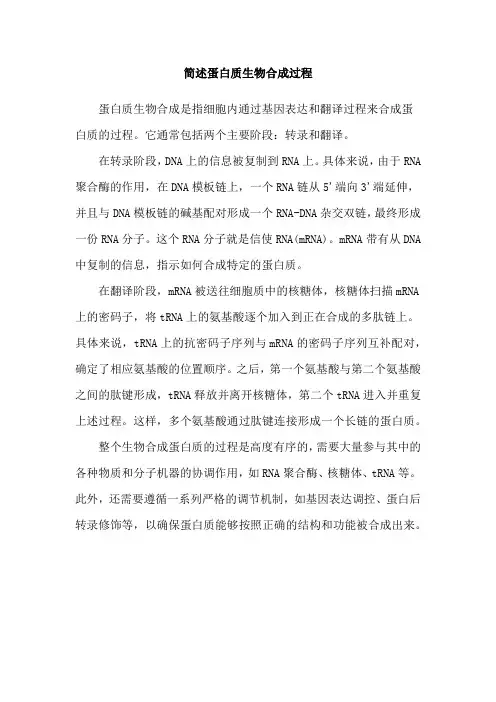 简述蛋白质生物合成过程