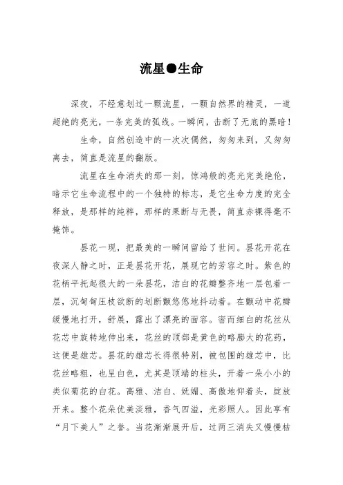 小学议论文作文：流星●生命0