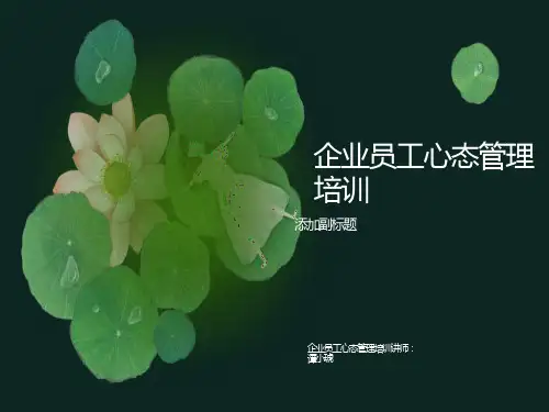 心态决定未来积极的心态成就人生梦想