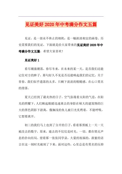 见证美好中考满分作文五篇