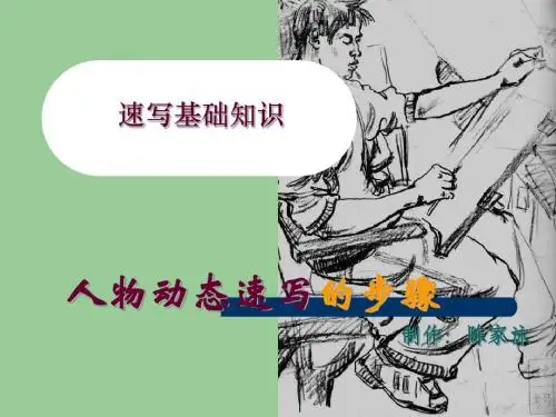 速写基础知识