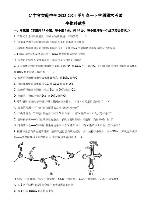 辽宁省实验中学2023-2024 学年高一下学期期末考试生物学试题(含答案)