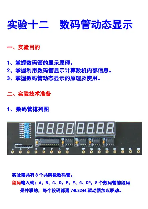 实验十二 数码管动态显示实验