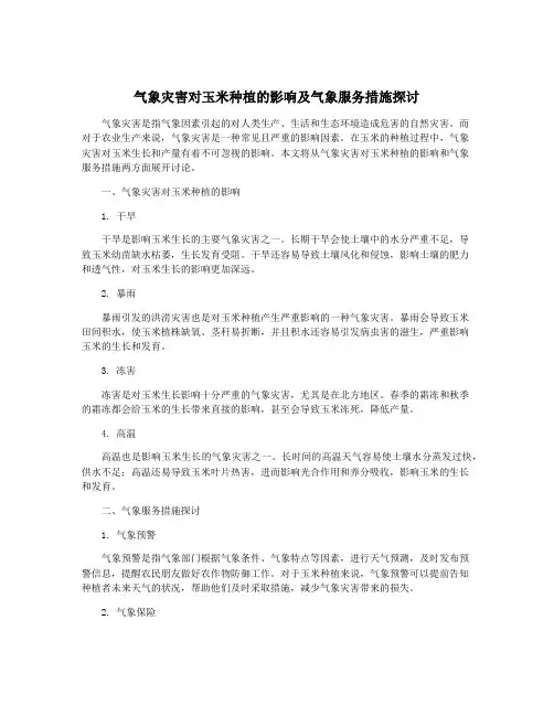 气象灾害对玉米种植的影响及气象服务措施探讨