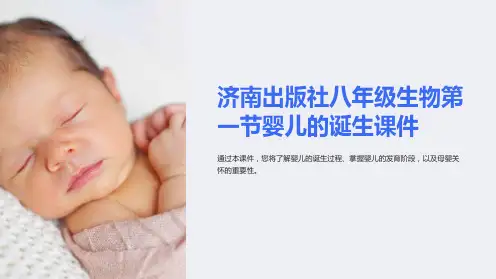 济南出版社八年级生物第一节婴儿的诞生课件