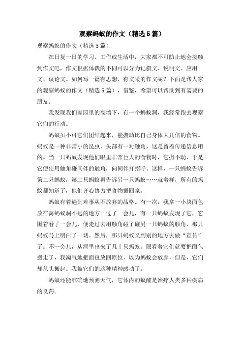 观察蚂蚁的作文(5篇)
