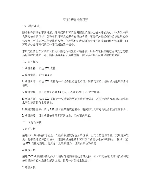 可行性研究报告 环评