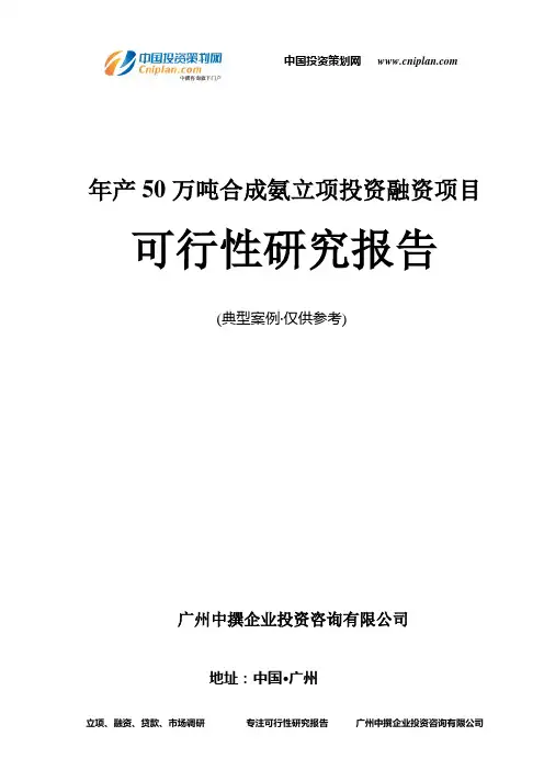 年产50万吨合成氨融资投资立项项目可行性研究报告(非常详细)