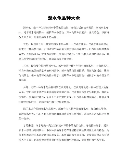 深水龟品种大全