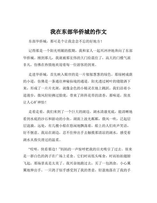 我在东部华侨城的作文