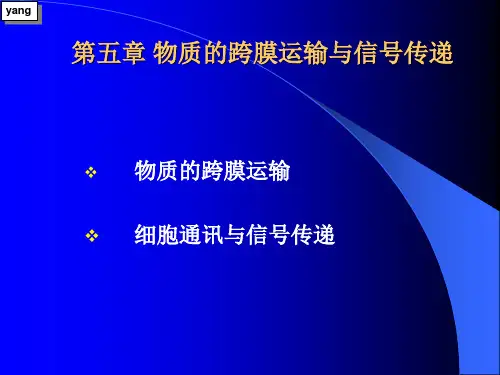 细胞跨膜运输