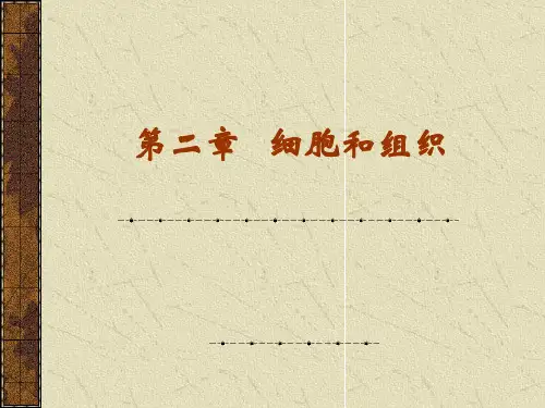解剖生理学第二章细胞和组织