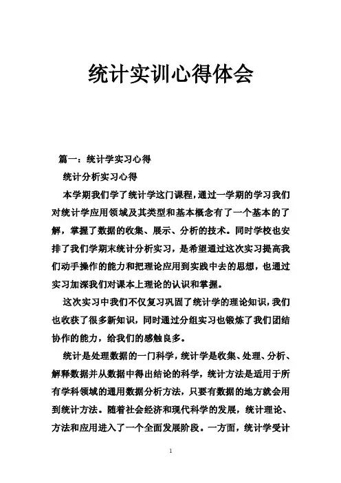 统计实训心得体会