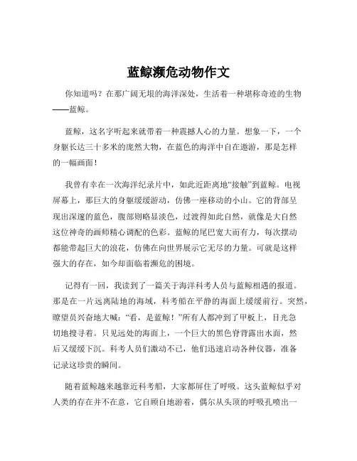 蓝鲸濒危动物作文