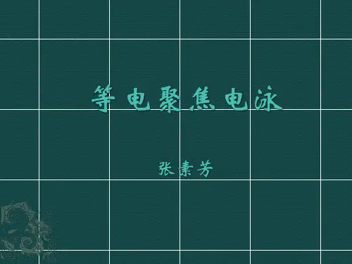 等电聚焦电泳