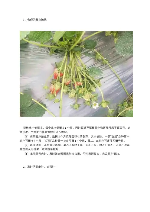 草莓如何花多果多不断茬？