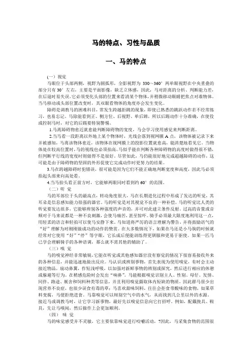 马的特点