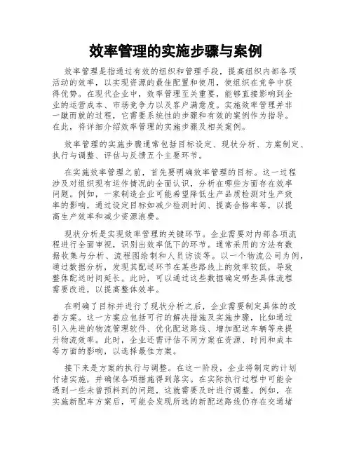 效率管理的实施步骤与案例