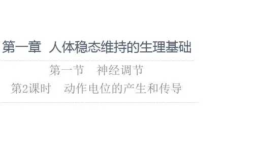 新教材苏教版生物选择性必修1课件：第1章第1节第2课时 动作电位的产生和传导
