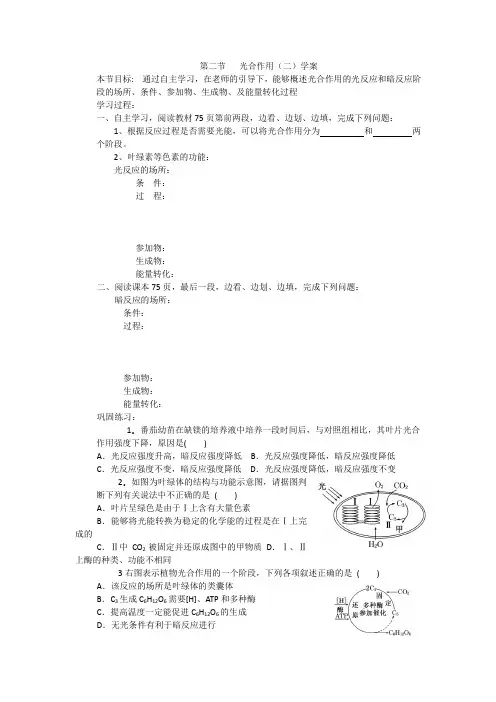 光合作用(二)学案