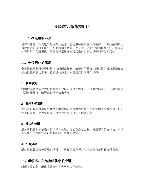 组织芯片做免疫组化