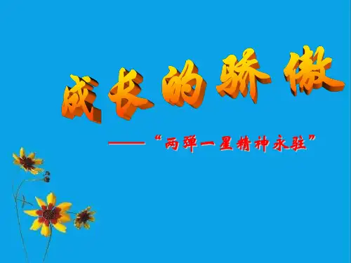 《两弹一星最新》PPT课件