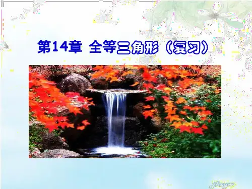 第14章 全等三角形复习课件 ppt
