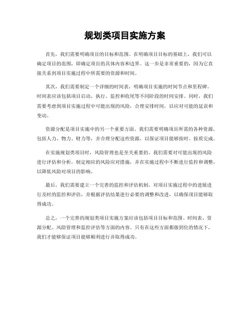 规划类项目实施方案