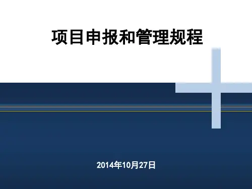 某机电设备有限公司项目申报和管理规程模板ppt