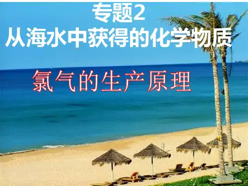 【公开课课件】氯气的生产原理