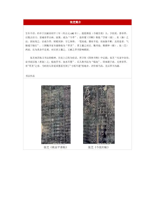 张芝简介