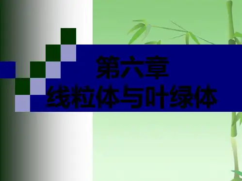 第六章线粒体与叶绿体(共85张PPT)