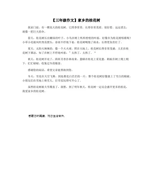 【三年级作文】家乡的桂花树