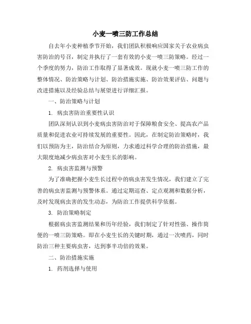 小麦一喷三防工作总结