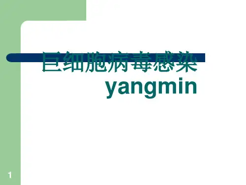 巨细胞病毒感染治疗ppt课件