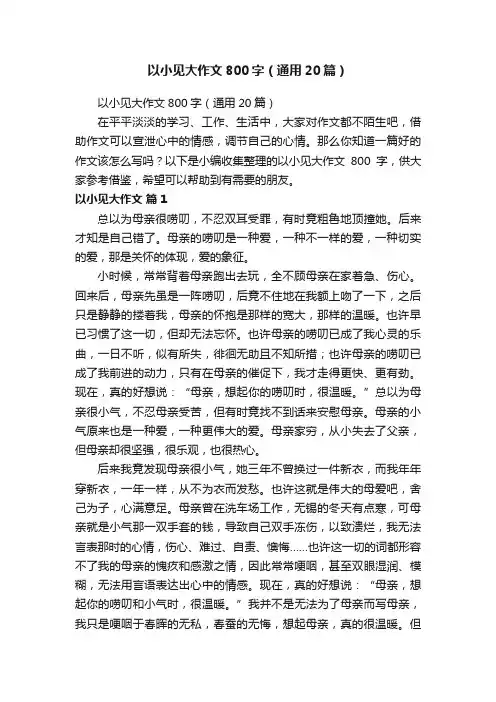以小见大作文800字（通用20篇）