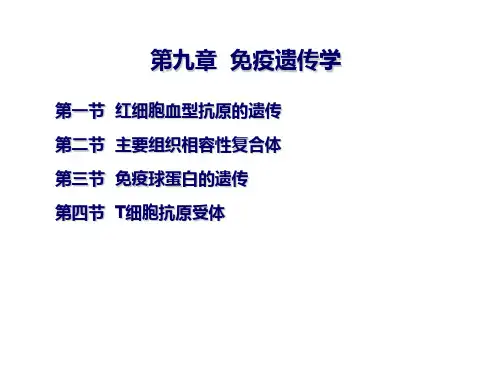 遗传学-免疫遗传学
