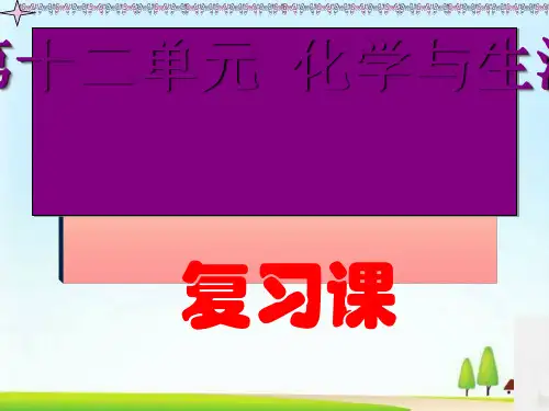 人教版化学九下第12章《化学与生活》复习课件